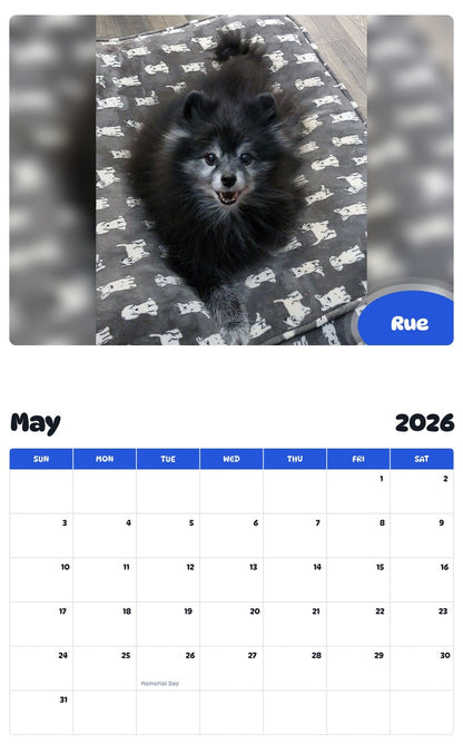 2026 - 2027 Rue - Pawidols Pet Calendar
