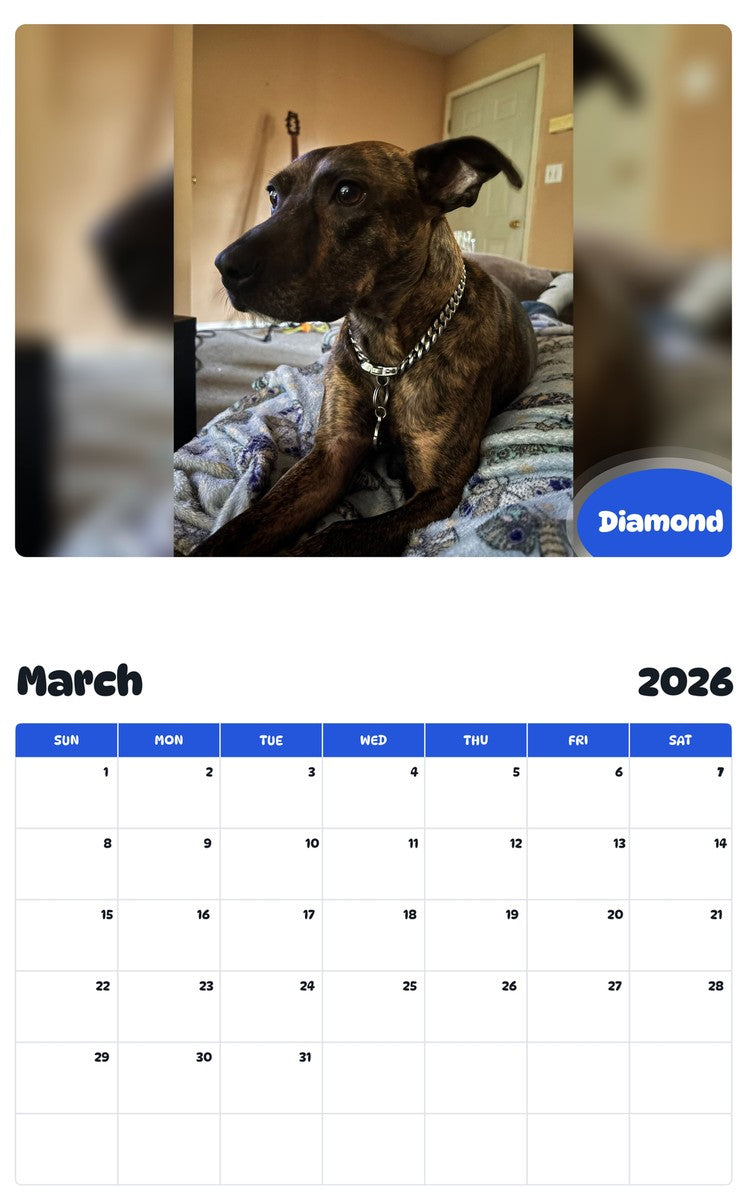 November 2025 - October 2026 Diamond - Pawidols Pet Calendar