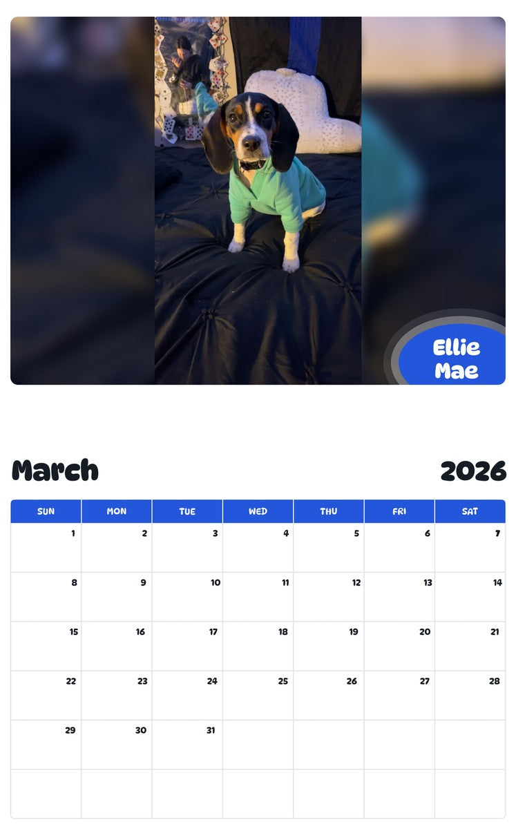 November 2025 - October 2026 Ellie Mae - Pawidols Pet Calendar
