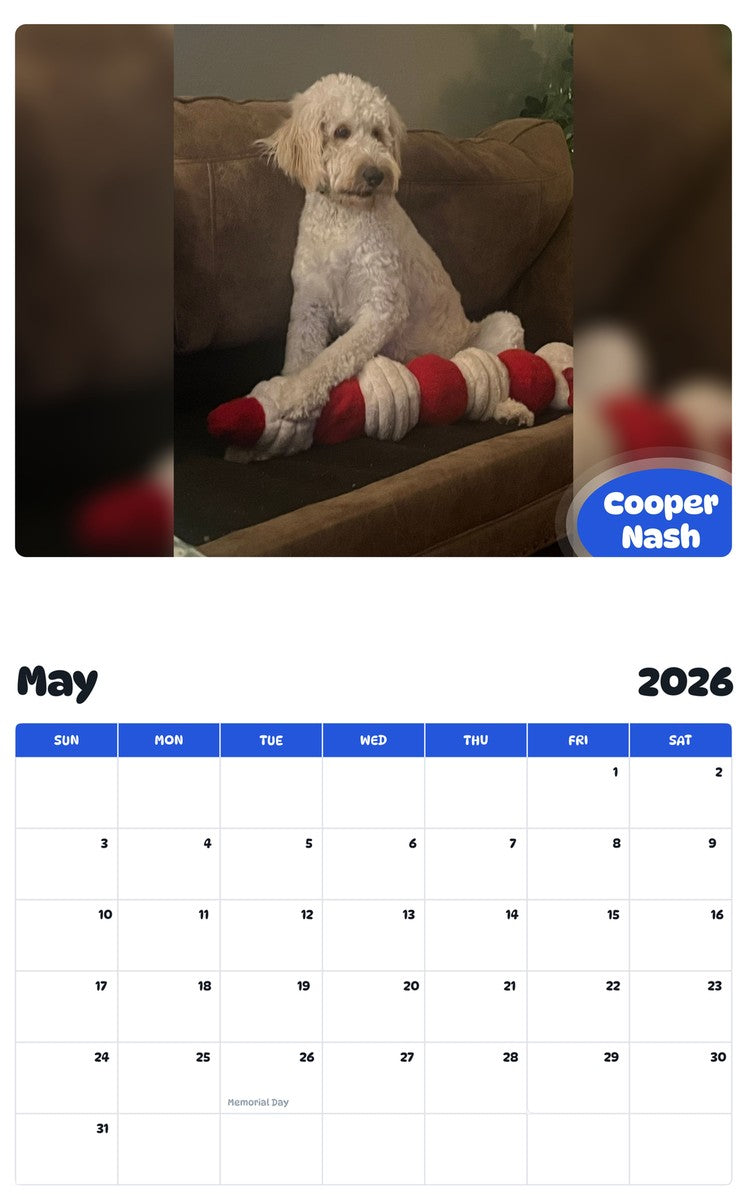 2026 - 2027 Cooper Nash - Pawidols Pet Calendar