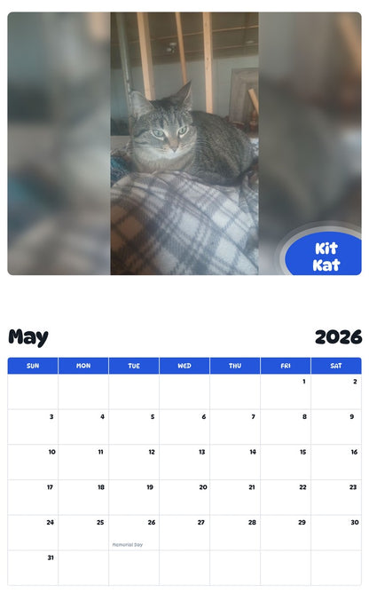 2026 - 2027 Kit Kat - Pawidols Pet Calendar