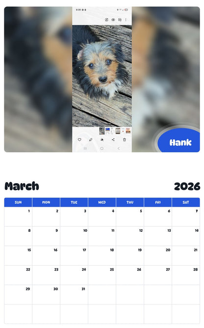 November 2025 - October 2026 Hank - Pawidols Pet Calendar