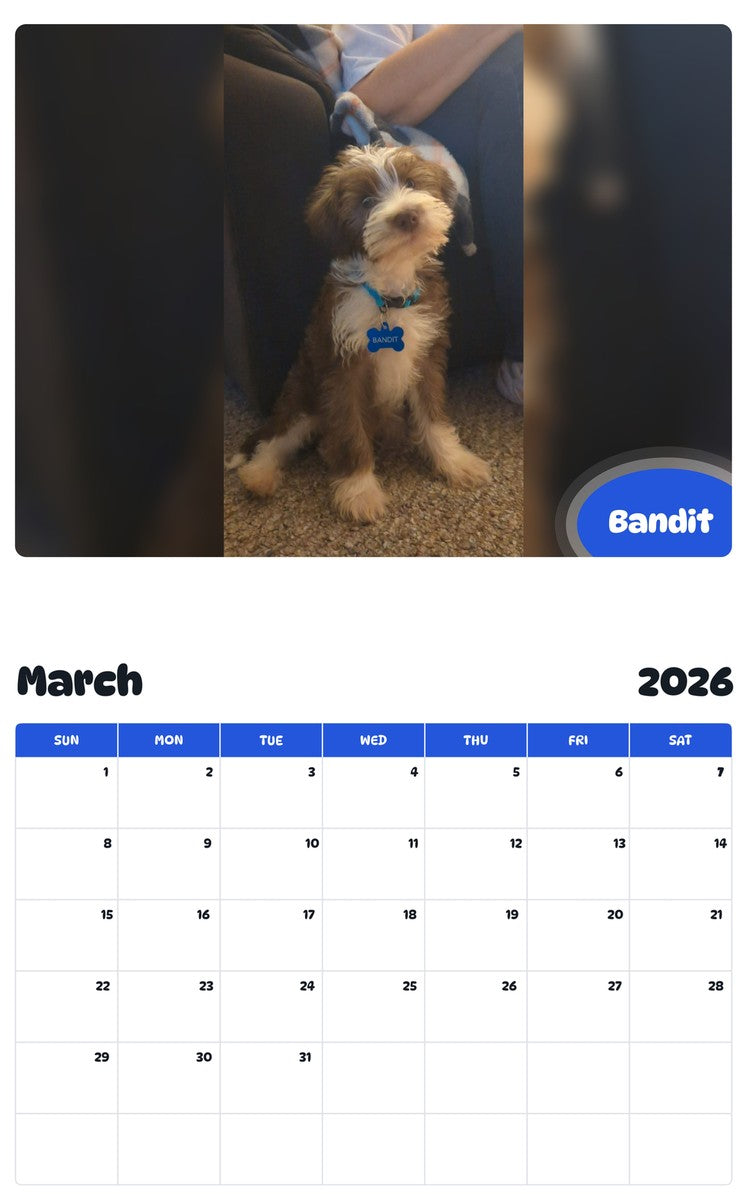 November 2025 - October 2026 Bandit - Pawidols Pet Calendar