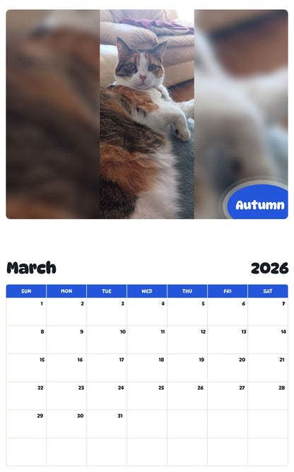 November 2025 - October 2026 Autumn - Pawidols Pet Calendar