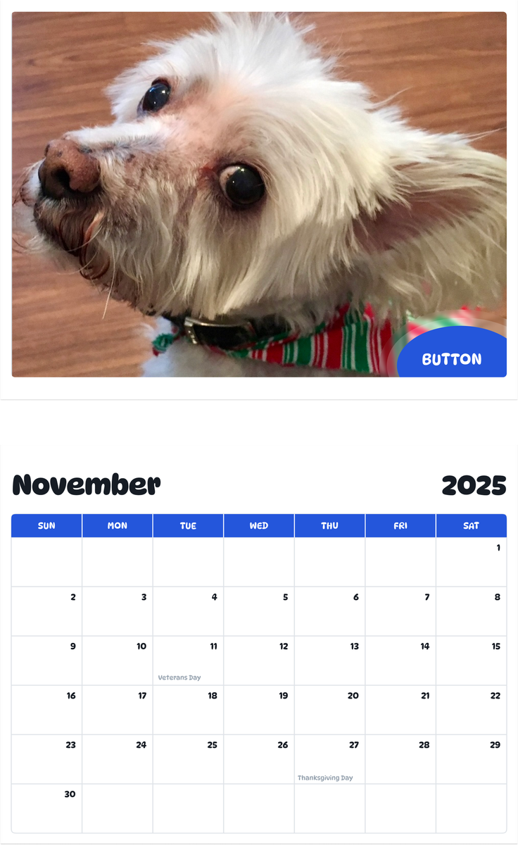 July 2025 - June 2026 Button - Pawidols Pet Calendar