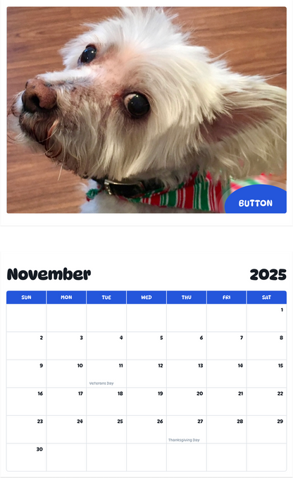 July 2025 - June 2026 Button - Pawidols Pet Calendar