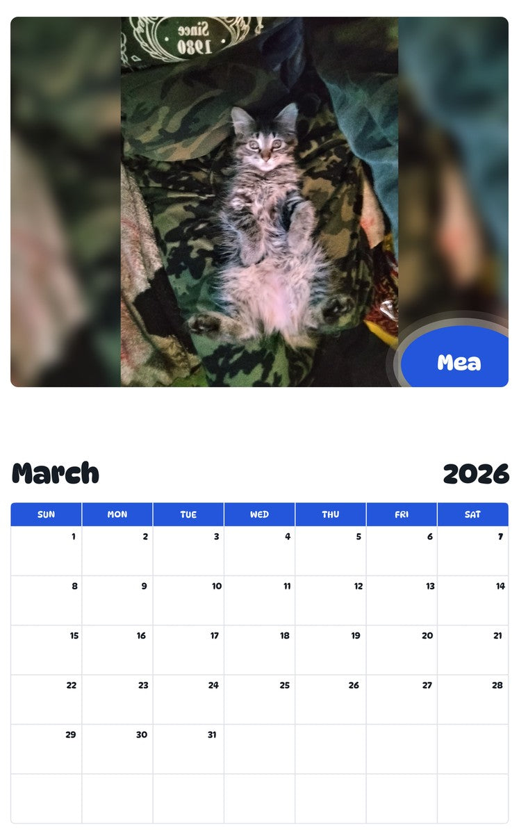 November 2025 - October 2026 Mea - Pawidols Pet Calendar