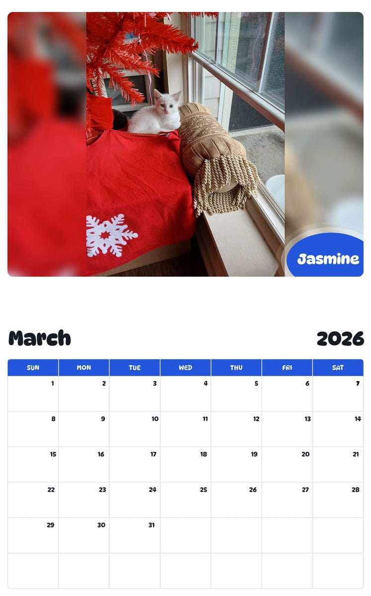 November 2025 - October 2026 Jasmine - Pawidols Pet Calendar