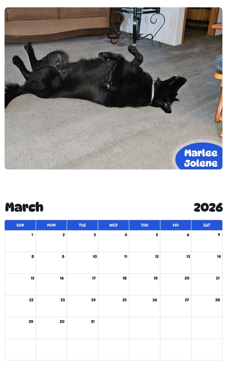 November 2025 - October 2026 Marlee Jolene - Pawidols Pet Calendar