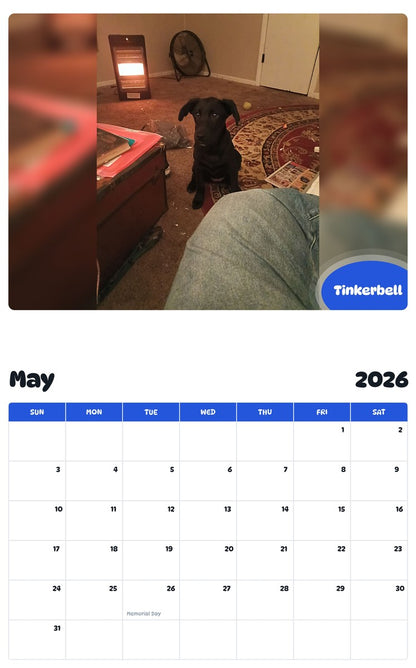 2026 - 2027 Tinkerbell - Pawidols Pet Calendar