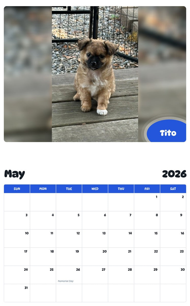 2026 - 2027 Tito - Pawidols Pet Calendar