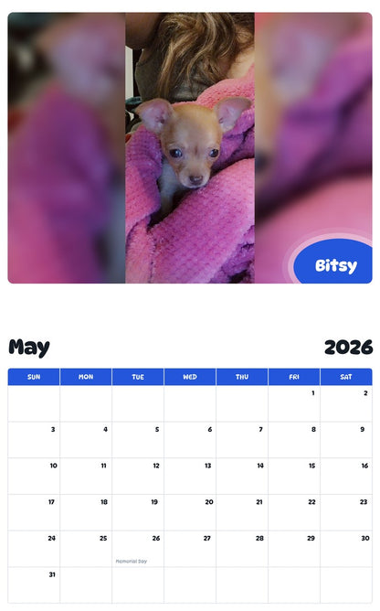 2026 - 2027 Bitsy - Pawidols Pet Calendar