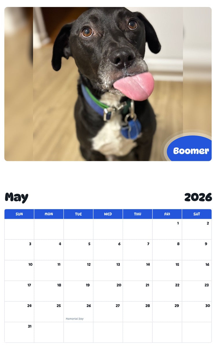 2026 - 2027 Boomer - Pawidols Pet Calendar