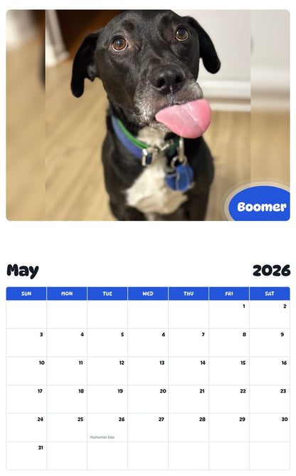 2026 - 2027 Boomer - Pawidols Pet Calendar