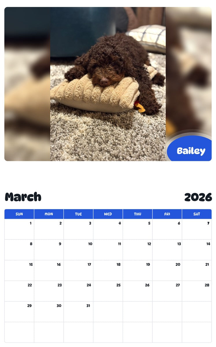 November 2025 - October 2026 Bailey - Pawidols Pet Calendar