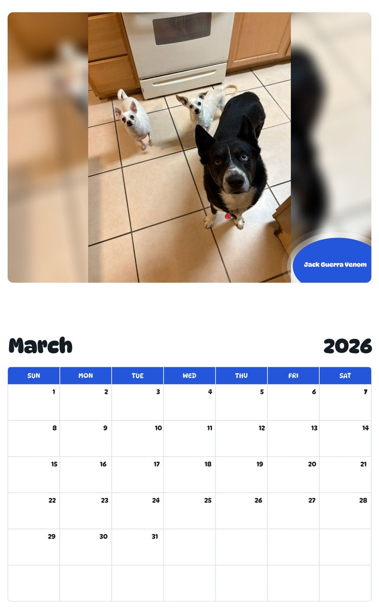 November 2025 - October 2026 Jack Guerra Venom - Pawidols Pet Calendar
