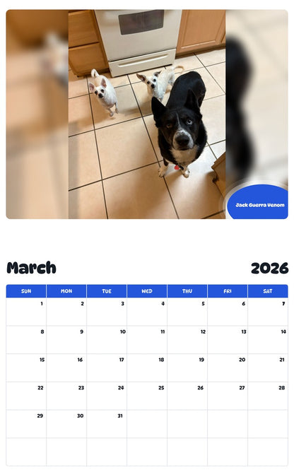November 2025 - October 2026 Jack Guerra Venom - Pawidols Pet Calendar