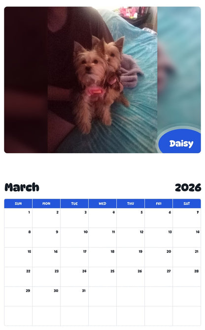 November 2025 - October 2026 Daisy - Pawidols Pet Calendar
