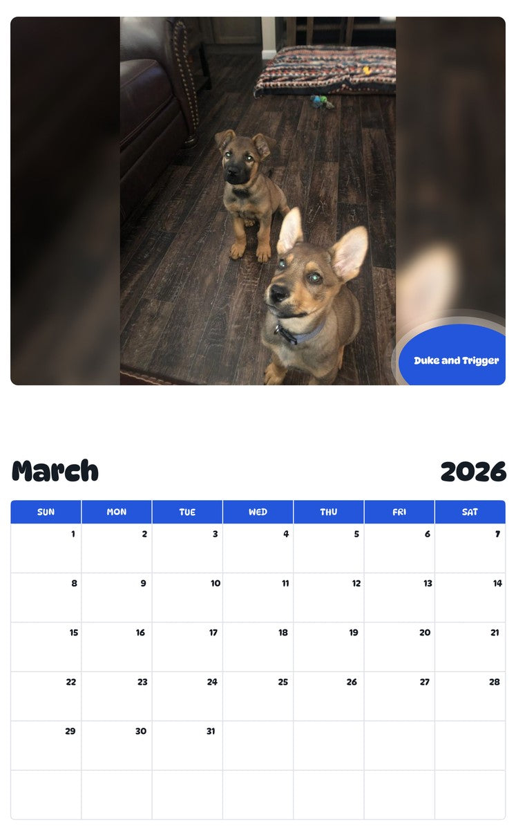 November 2025 - October 2026 Duke and Trigger - Pawidols Pet Calendar