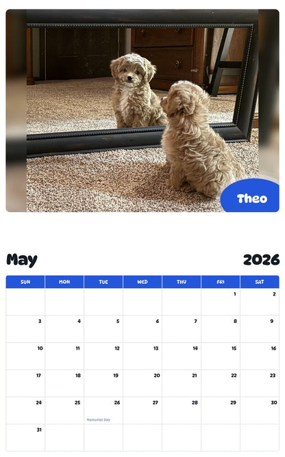 2026 - 2027 Theo - Pawidols Pet Calendar