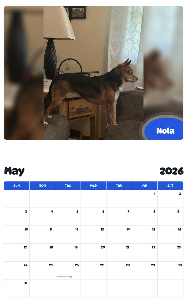 2026 - 2027 Nola - Pawidols Pet Calendar