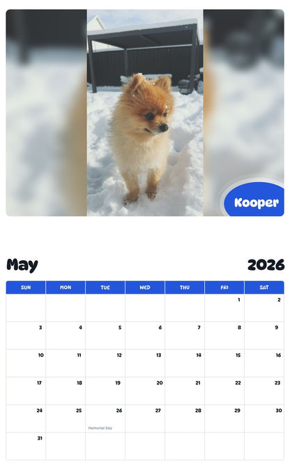 2026 - 2027 Kooper - Pawidols Pet Calendar