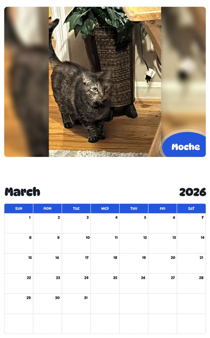 November 2025 - October 2026 Moche - Pawidols Pet Calendar