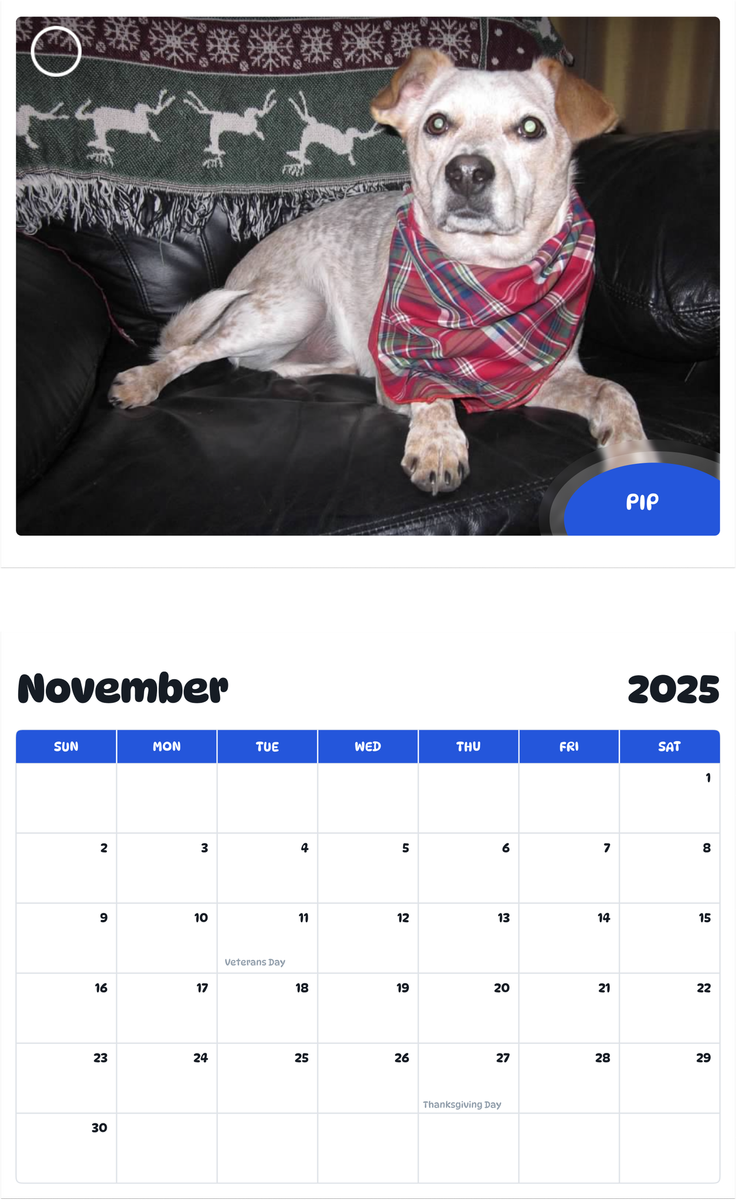 July 2025 - June 2026 Pip - Pawidols Pet Calendar