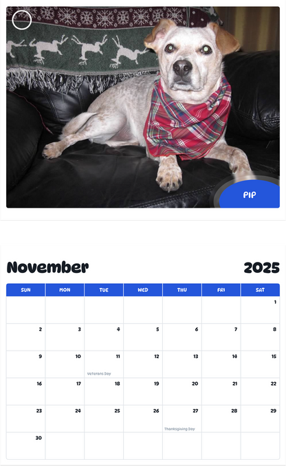 July 2025 - June 2026 Pip - Pawidols Pet Calendar
