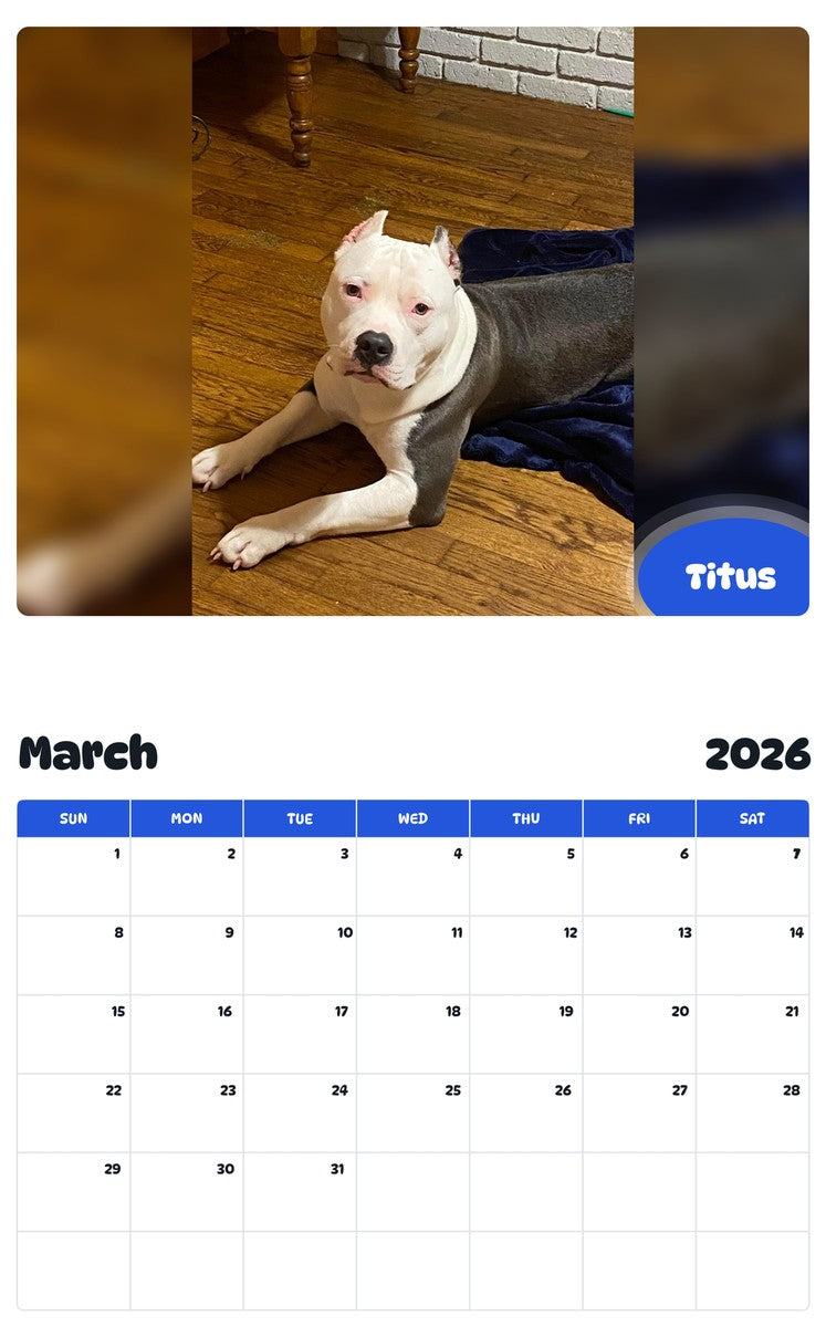 November 2025 - October 2026 Titus - Pawidols Pet Calendar