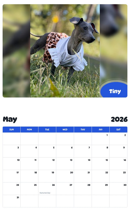 2026 - 2027 Tiny - Pawidols Pet Calendar