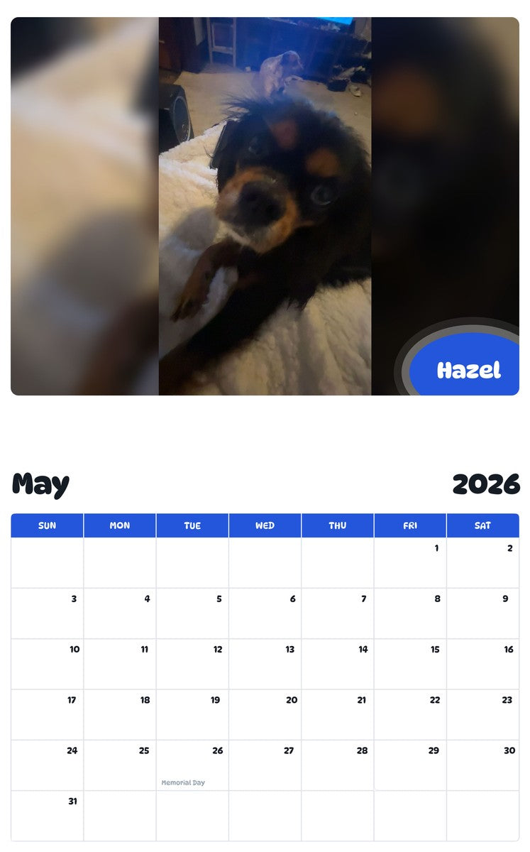 2026 - 2027 Hazel - Pawidols Pet Calendar