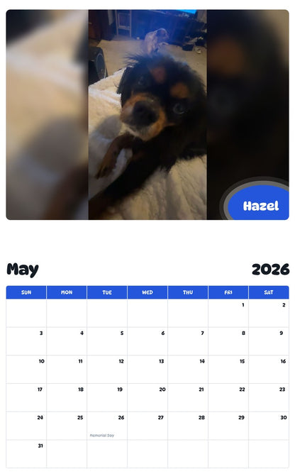 2026 - 2027 Hazel - Pawidols Pet Calendar