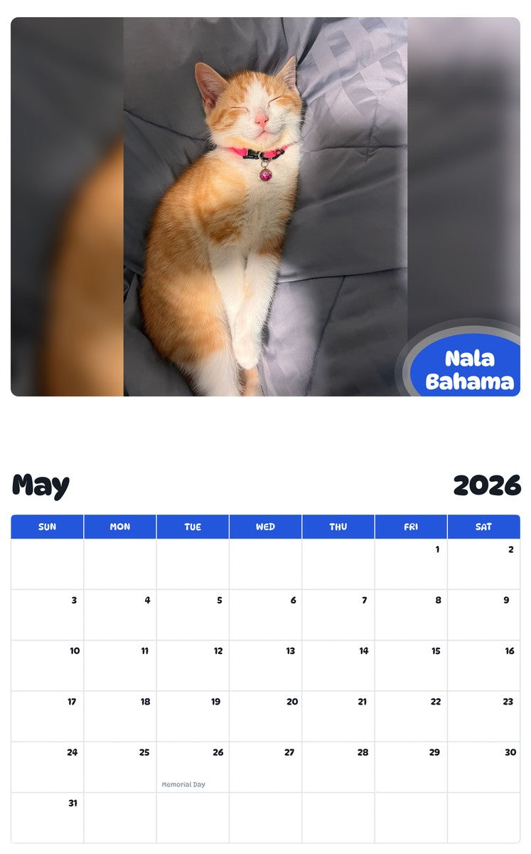 2026 - 2027 Nala Bahama - Pawidols Pet Calendar