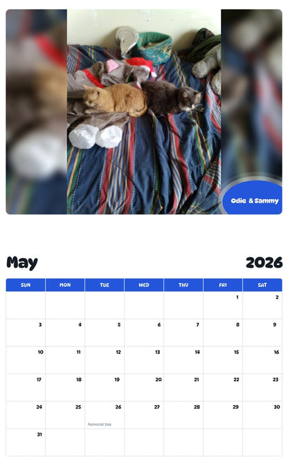 2026 - 2027 Odie  & Sammy - Pawidols Pet Calendar