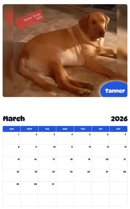 November 2025 - October 2026 Tanner - Pawidols Pet Calendar