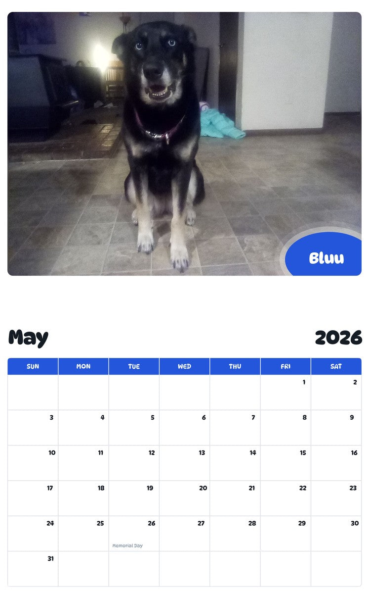 2026 - 2027 Bluu - Pawidols Pet Calendar
