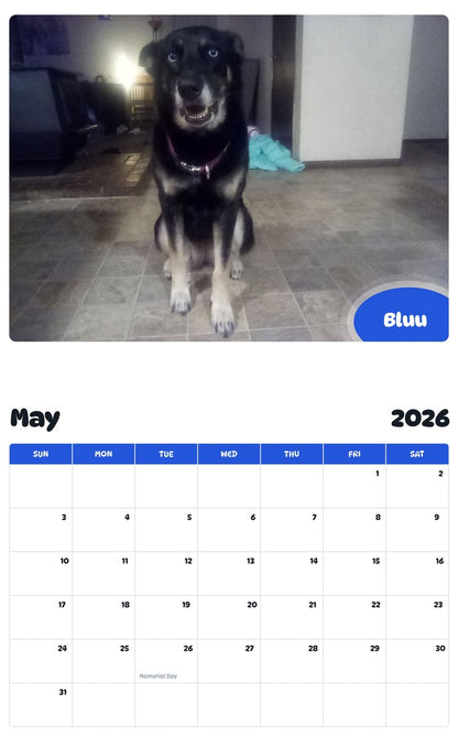 2026 - 2027 Bluu - Pawidols Pet Calendar