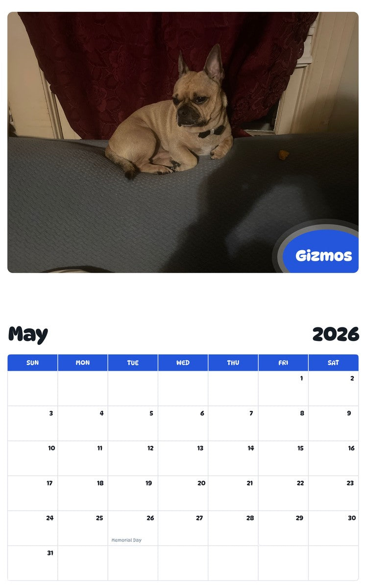 2026 - 2027 Gizmos - Pawidols Pet Calendar