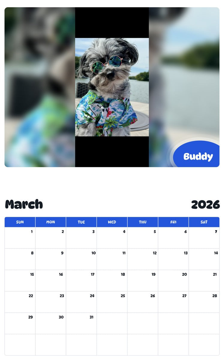 November 2025 - October 2026 Buddy - Pawidols Pet Calendar