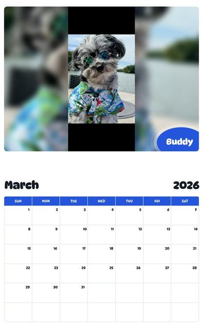 November 2025 - October 2026 Buddy - Pawidols Pet Calendar