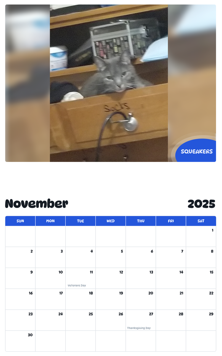 July 2025 - June 2026 Squeakers - Pawidols Pet Calendar