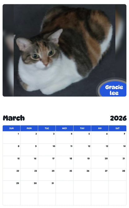 November 2025 - October 2026 Gracie lee - Pawidols Pet Calendar