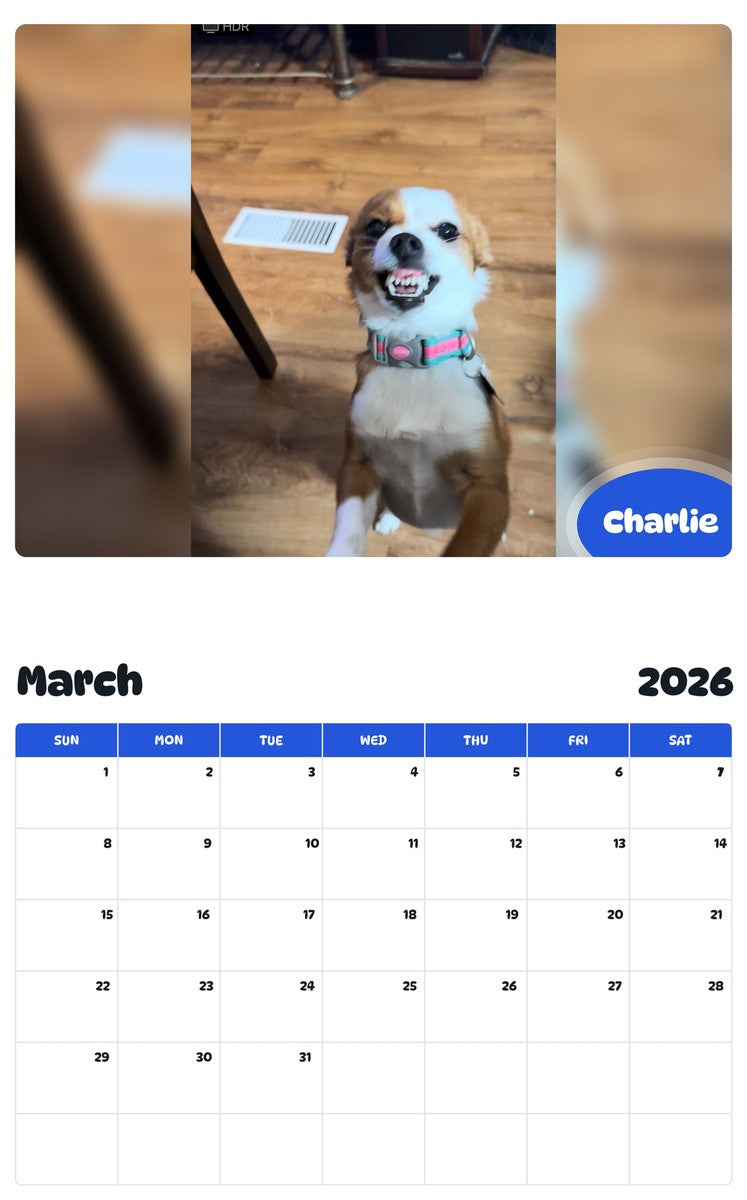 November 2025 - October 2026 Charlie - Pawidols Pet Calendar