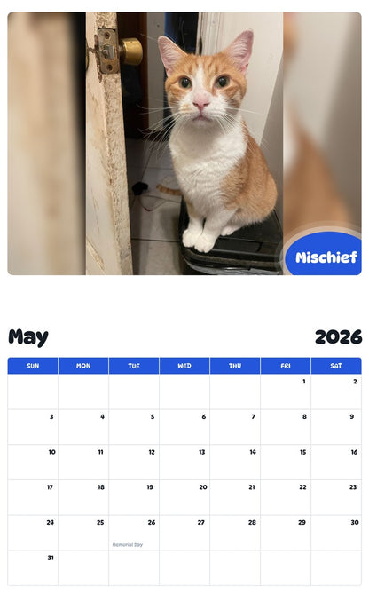 2026 - 2027 Mischief - Pawidols Pet Calendar
