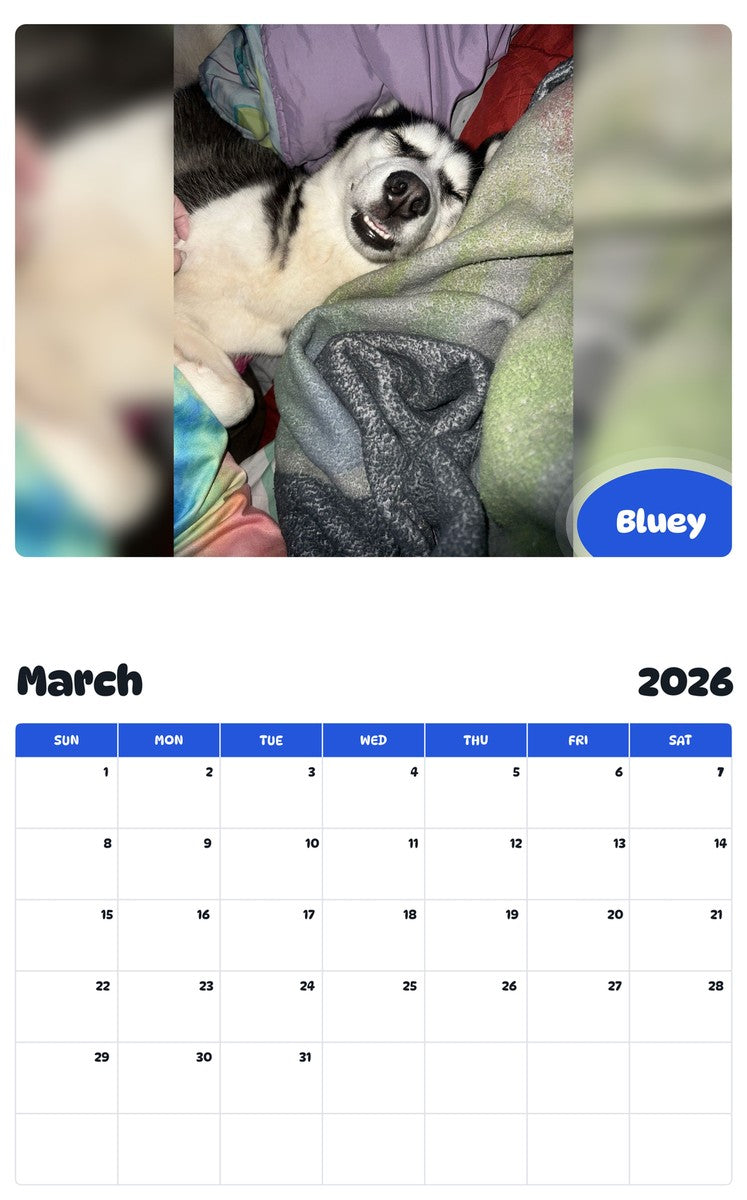 November 2025 - October 2026 Bluey - Pawidols Pet Calendar