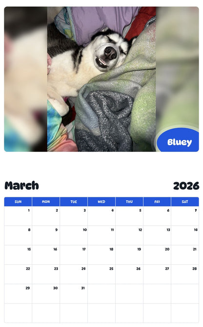 November 2025 - October 2026 Bluey - Pawidols Pet Calendar