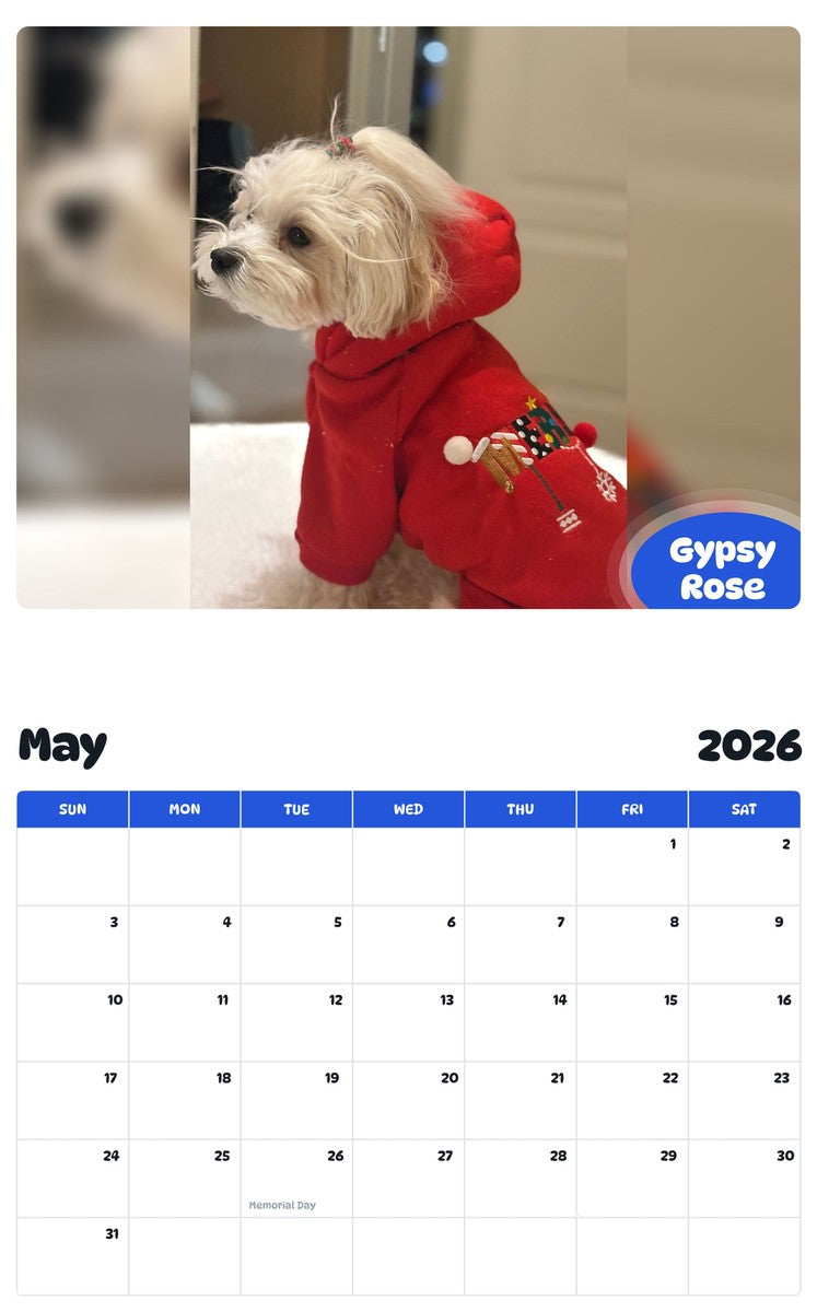 2026 - 2027 Gypsy Rose - Pawidols Pet Calendar