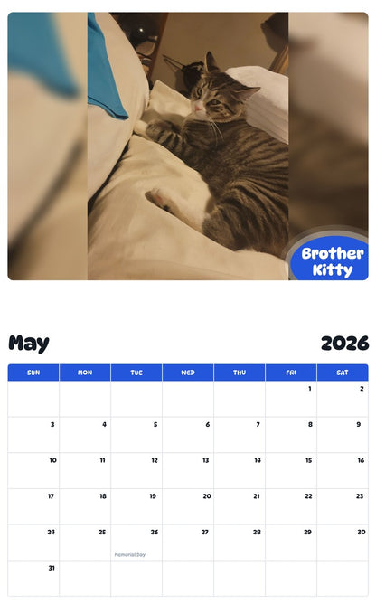 2026 - 2027 Brother Kitty - Pawidols Pet Calendar