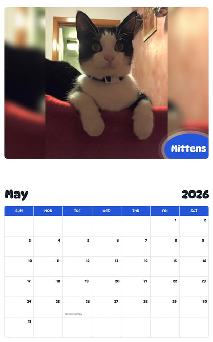 2026 - 2027 Mittens - Pawidols Pet Calendar